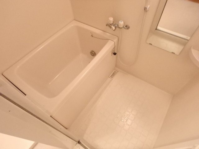 バス