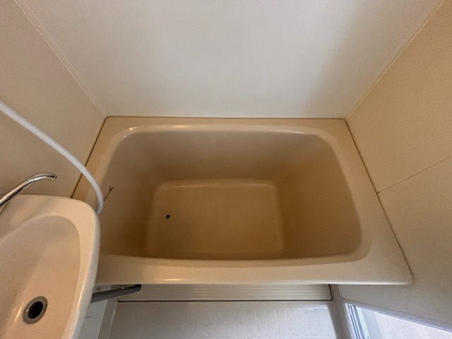 バス