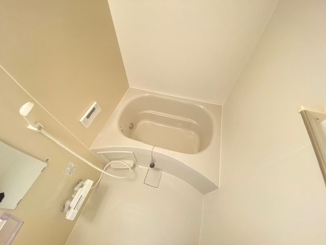 バス