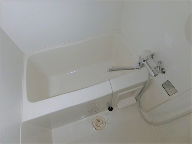 バス