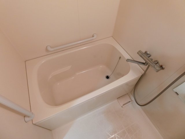 バス