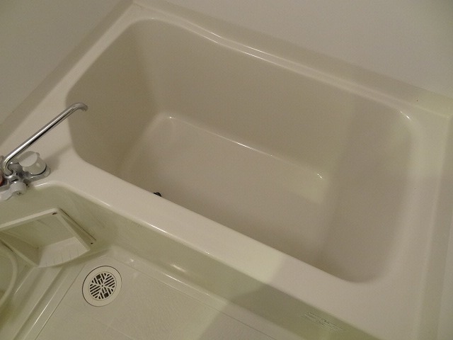 バス