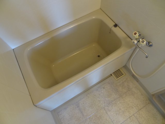 バス