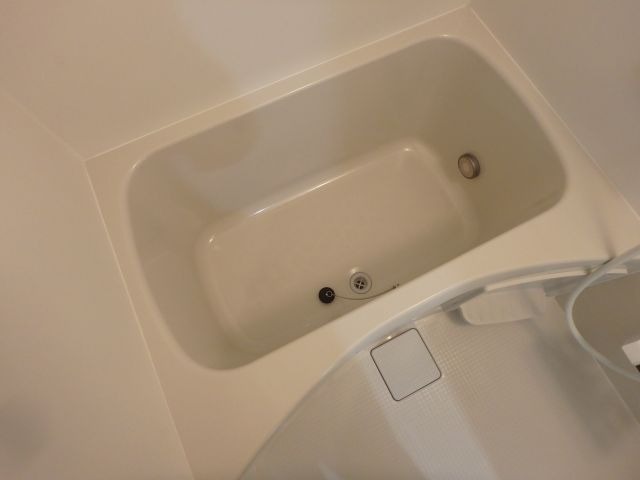 バス