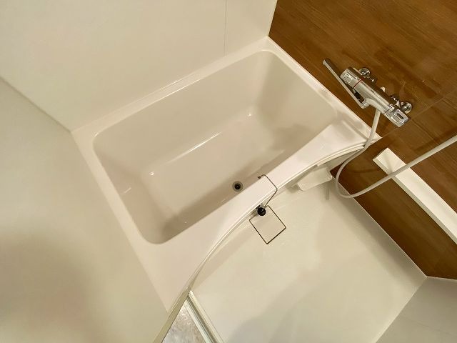 バス