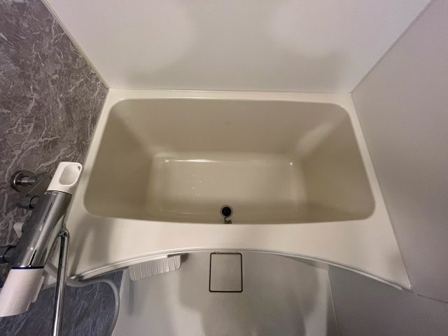 バス