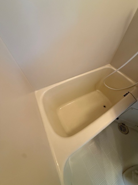 バス