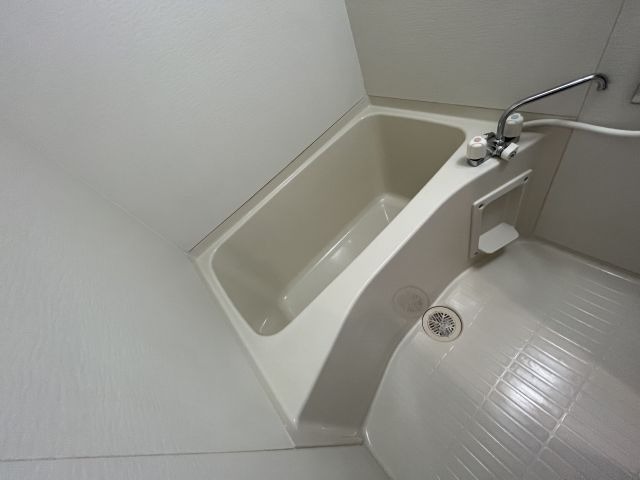 バス
