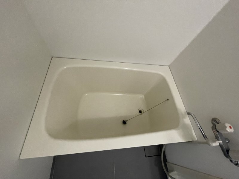 バス