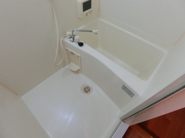 バス