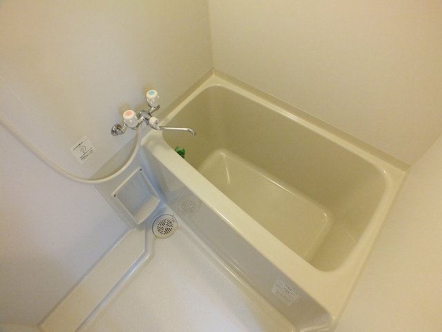バス