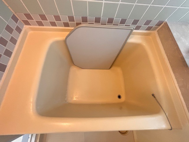 バス