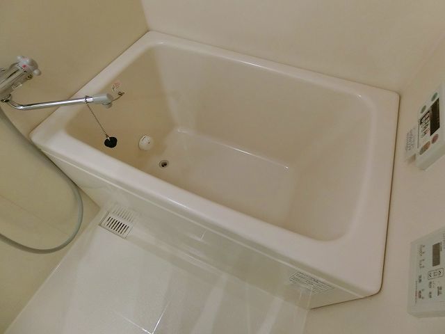 バス