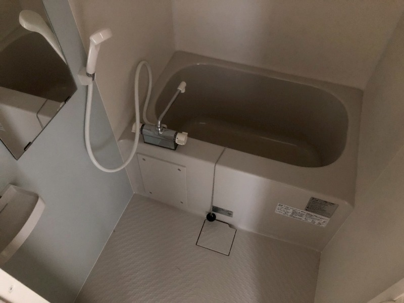 バス