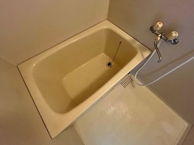 バス
