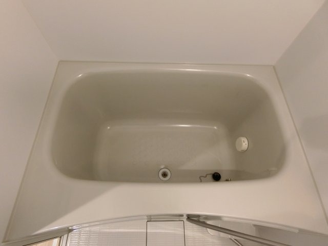 バス