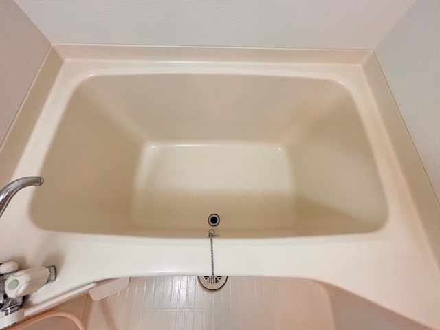 バス