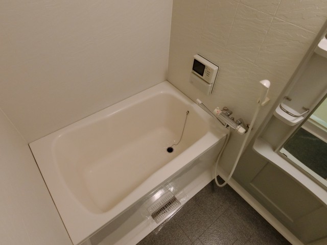 バス