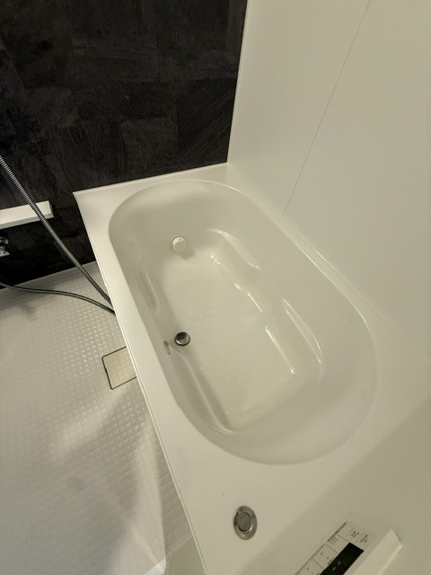 バス