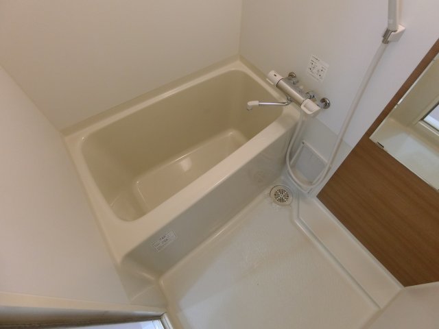 バス