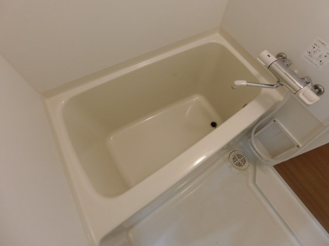 バス