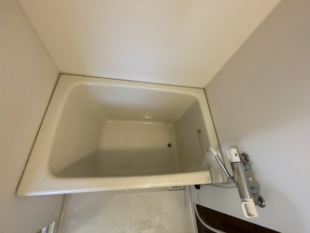 バス