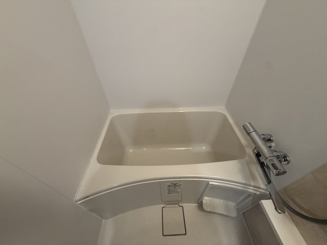 バス