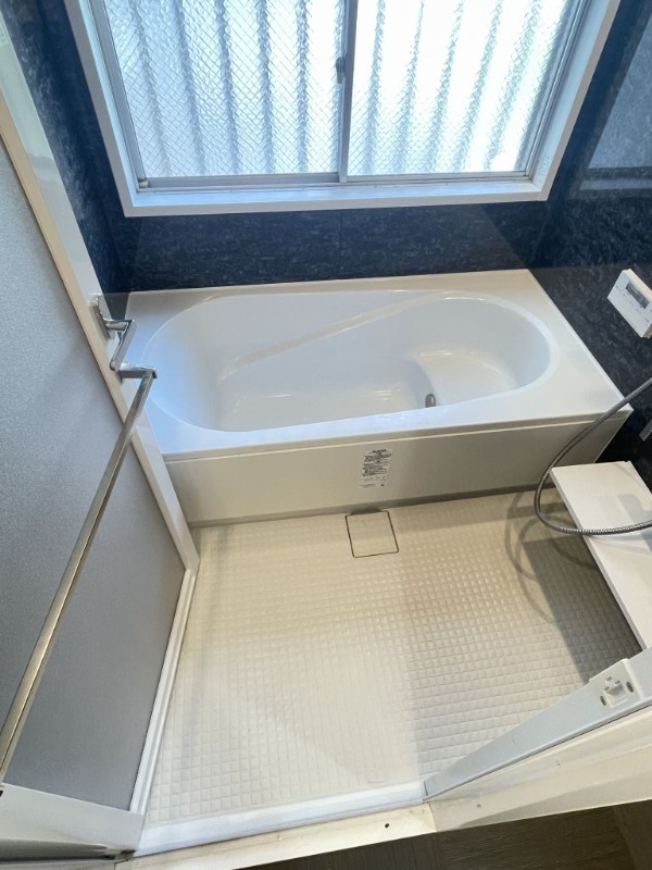 バス