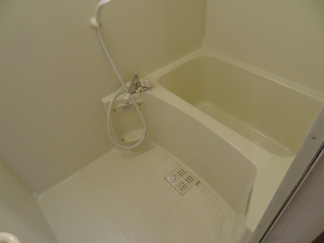 バス