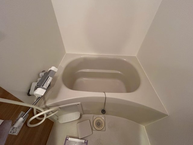 バス