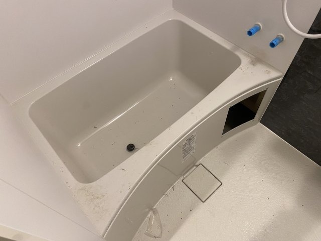 バス