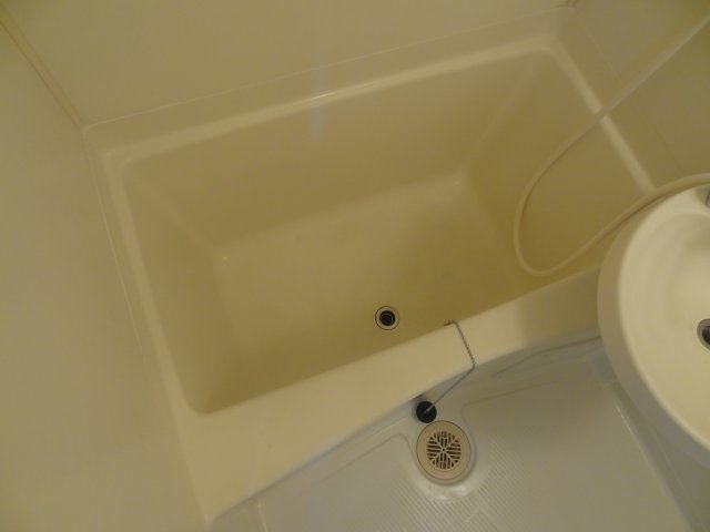バス