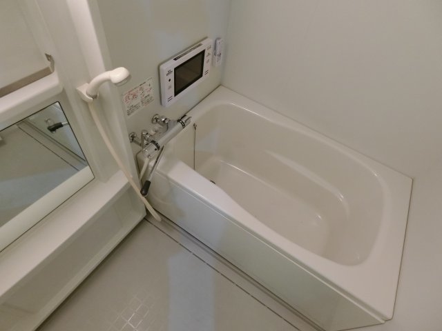 バス
