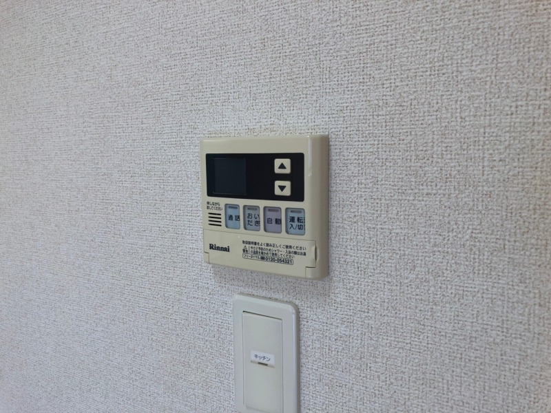 バス