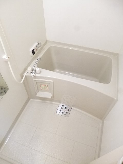 バス