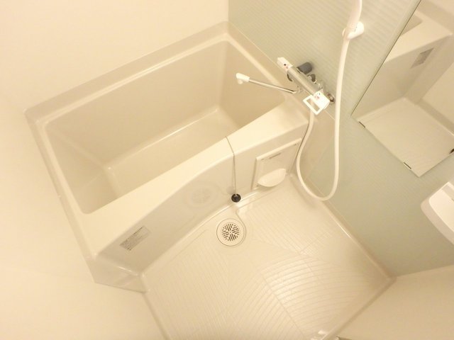 バス