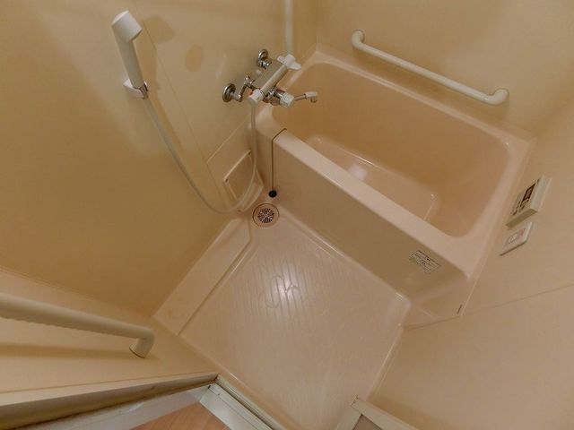 バス