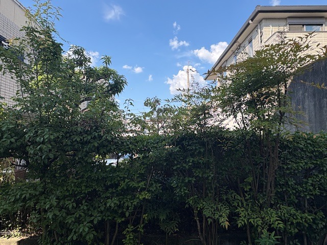 眺望