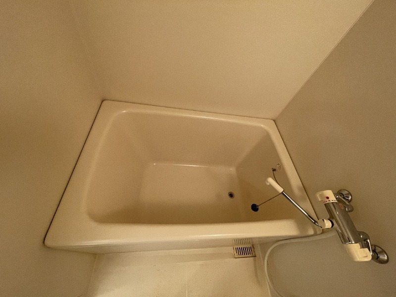 バス
