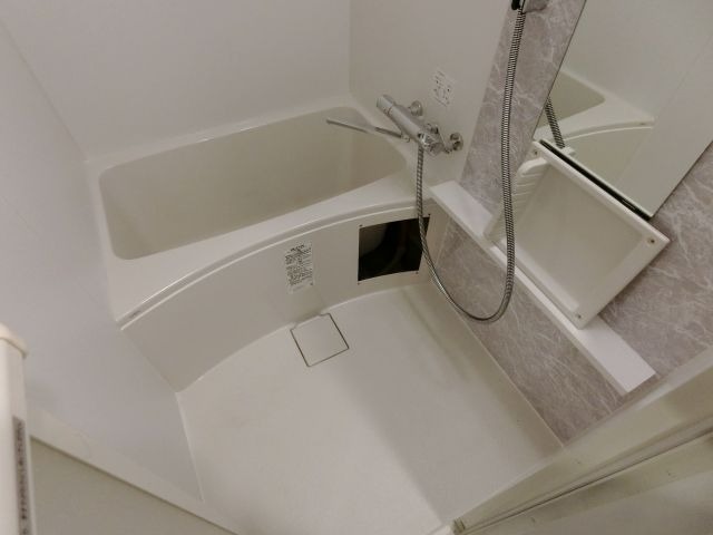 バス