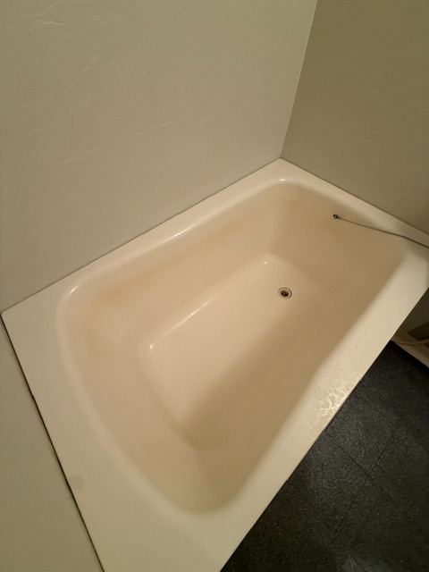 バス