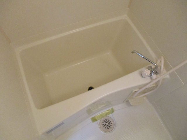 バス