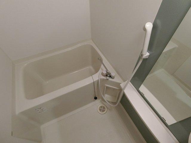 バス