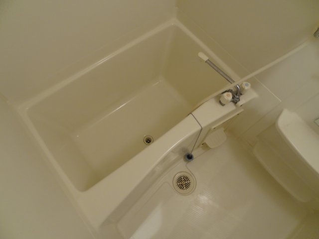 バス