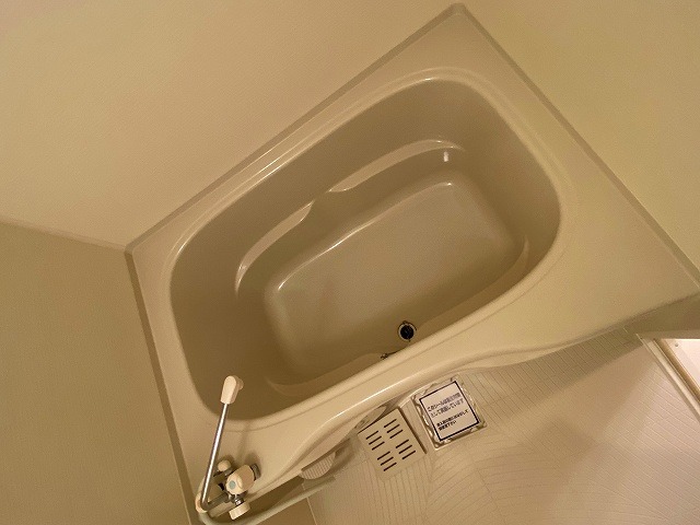バス