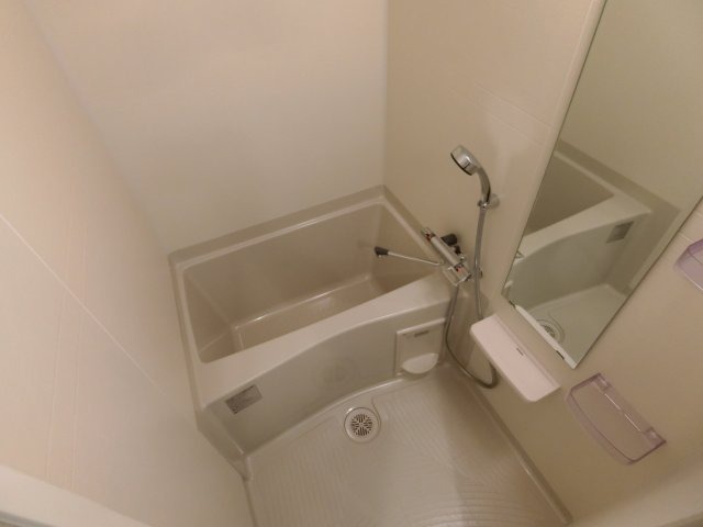 バス