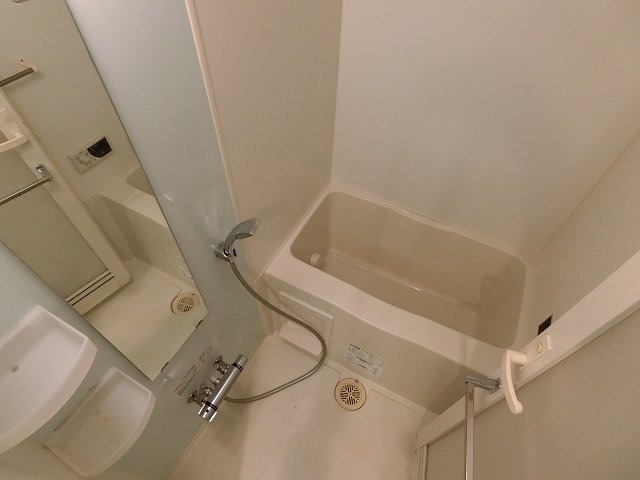 バス