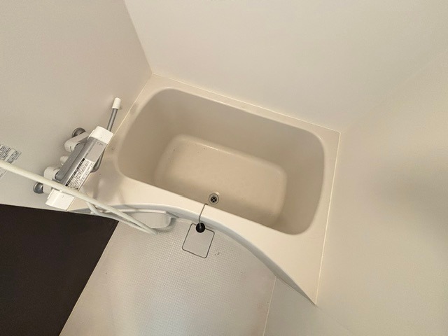 バス