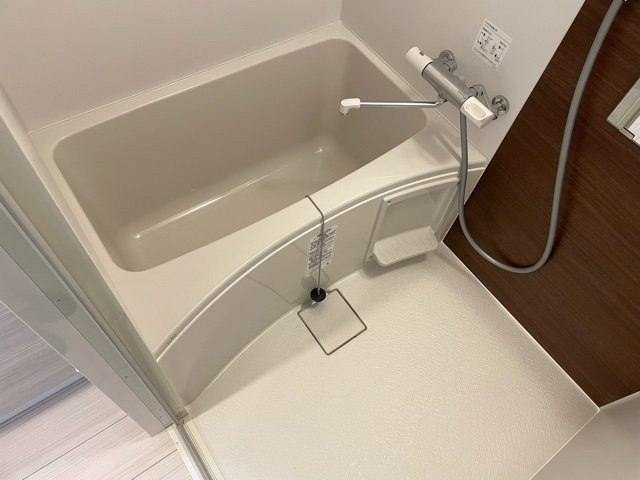 バス