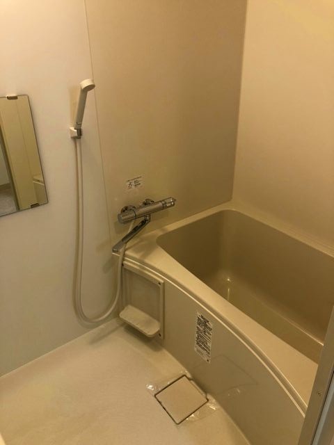 バス